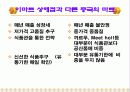 (경영분석) 이마트의 경영 성공 사례 분석 14페이지