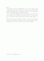 나치의 인종주의 정책 3페이지