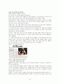 ‘보아’, 문화 산업적으로 분석하기 33페이지