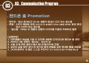 (에이즈 캠페인 전략)AIDS CAMPAIGN STRATEGY 24페이지
