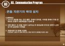 (에이즈 캠페인 전략)AIDS CAMPAIGN STRATEGY 28페이지