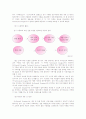 선발의 개념과 조직성과에 미치는 영향 17페이지