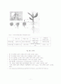 발아의조건 11페이지