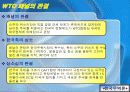 주세분쟁과 WTO분쟁 13페이지