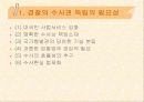  경찰의 수사권독립의 필요성과 반대에 대한 비판 3페이지