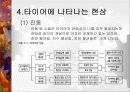 자동차 타이어의 종류 및 특징 8페이지