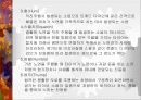 자동차 타이어의 종류 및 특징 10페이지