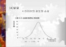 자동차 타이어의 종류 및 특징 12페이지