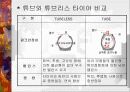 자동차 타이어의 종류 및 특징 17페이지