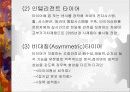 자동차 타이어의 종류 및 특징 32페이지
