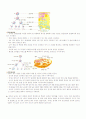 정자와 난자의 형성과정 - 계란의 구조 3페이지
