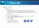 SKY 마케팅 전략분석 4페이지