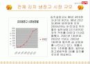 딤채의 마케팅 전략 4페이지