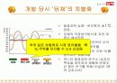 딤채의 마케팅 전략 11페이지