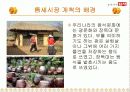 딤채의 마케팅 전략 16페이지