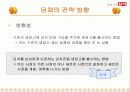 딤채의 마케팅 전략 20페이지