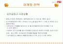 딤채의 마케팅 전략 21페이지