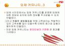 딤채의 마케팅 전략 32페이지