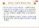 딤채의 마케팅 전략 46페이지