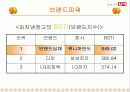 딤채의 마케팅 전략 48페이지