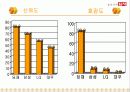 딤채의 마케팅 전략 50페이지