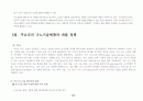 나노기술 및 나노산업 28페이지