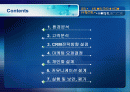 인터넷 쇼핑몰 고객관계관리(CRM) 전략 2페이지