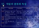 청소년 약물남용 12페이지