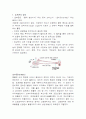 호르몬의 종류와 특성 1페이지