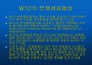 WTO 협정과 통상규범 3페이지