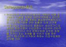 불공정무역과 산업피해구제의 제도적 환경 32페이지