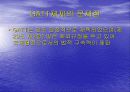 WTO체제와 다자간  무역협상 환경 4페이지