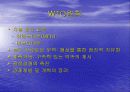 WTO체제와 다자간  무역협상 환경 7페이지