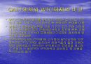 WTO체제와 다자간  무역협상 환경 8페이지