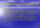 WTO체제와 다자간  무역협상 환경 11페이지