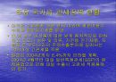 WTO체제와 다자간  무역협상 환경 12페이지