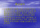 WTO체제와 다자간  무역협상 환경 15페이지