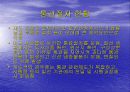 WTO체제와 다자간  무역협상 환경 16페이지