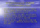 WTO체제와 다자간  무역협상 환경 21페이지