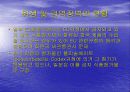 WTO체제와 다자간  무역협상 환경 28페이지