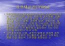 WTO체제와 다자간  무역협상 환경 29페이지
