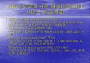 WTO체제와 다자간  무역협상 환경 34페이지