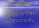 WTO체제와 다자간  무역협상 환경 36페이지