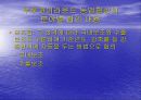 WTO체제와 다자간  무역협상 환경 37페이지
