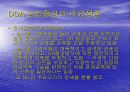 WTO체제와 다자간  무역협상 환경 41페이지