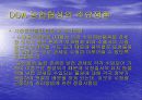WTO체제와 다자간  무역협상 환경 42페이지