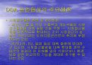WTO체제와 다자간  무역협상 환경 43페이지