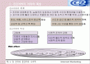 인터넷 환경하의 소비자 2페이지