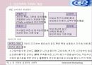인터넷 환경하의 소비자 4페이지