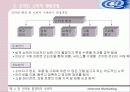 인터넷 환경하의 소비자 10페이지